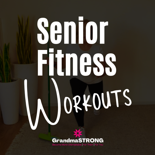 senior fitness workouts website